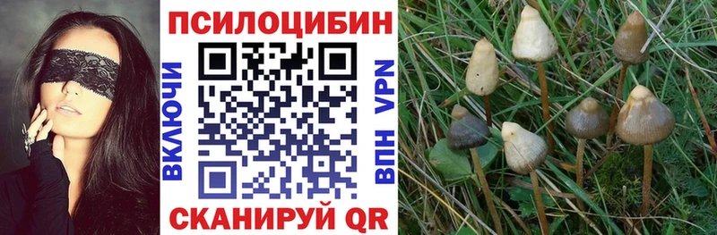 Псилоцибиновые грибы мицелий  Дзержинский 